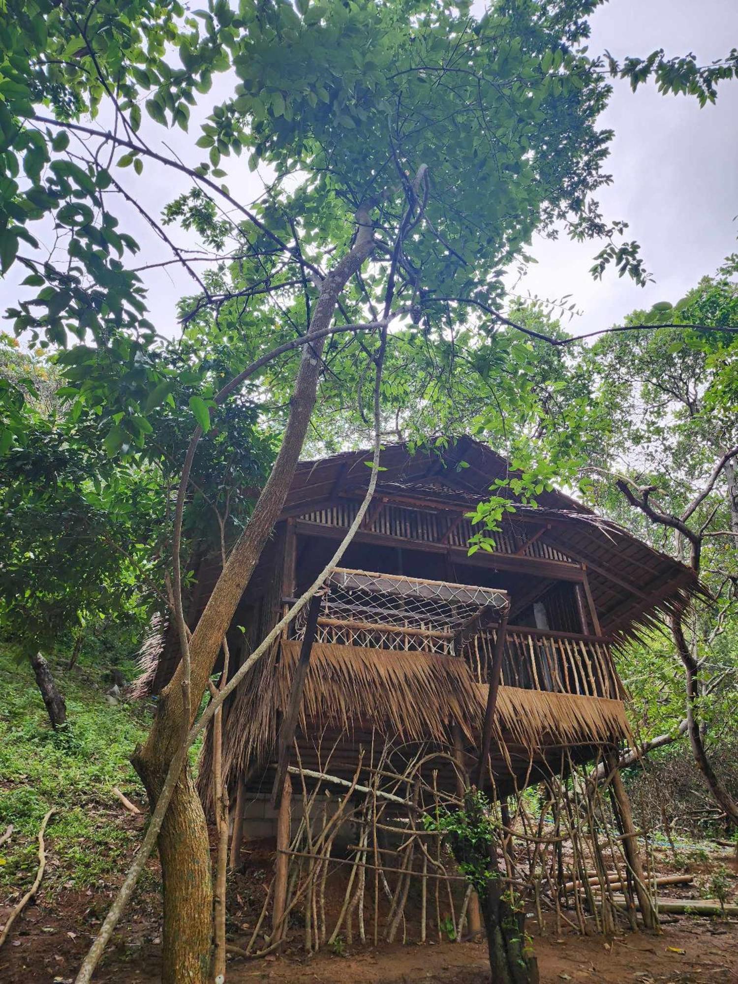 Backpackers Island El Nido Hotell Exteriör bild